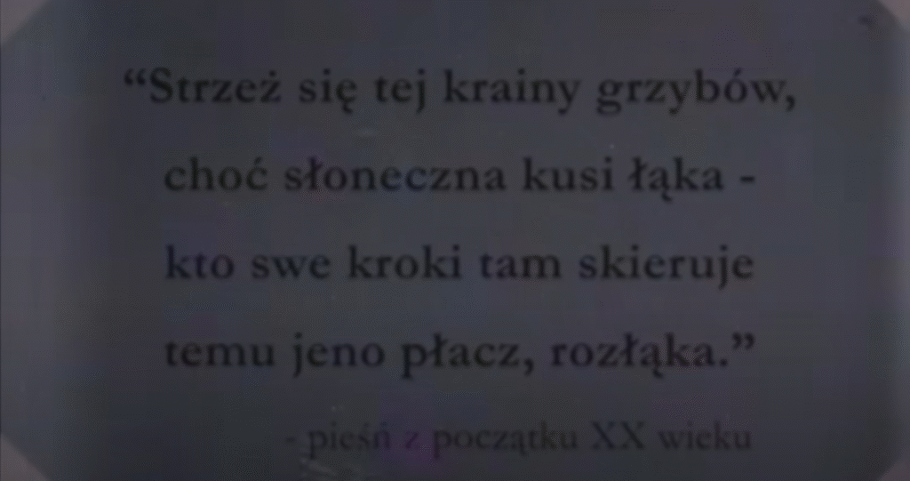 Italian Brainrot: jak zrobić w Chat GPT, zagrożenia, wpływ sztucznej inteligencji na memy i pop kulturę 28 image 62