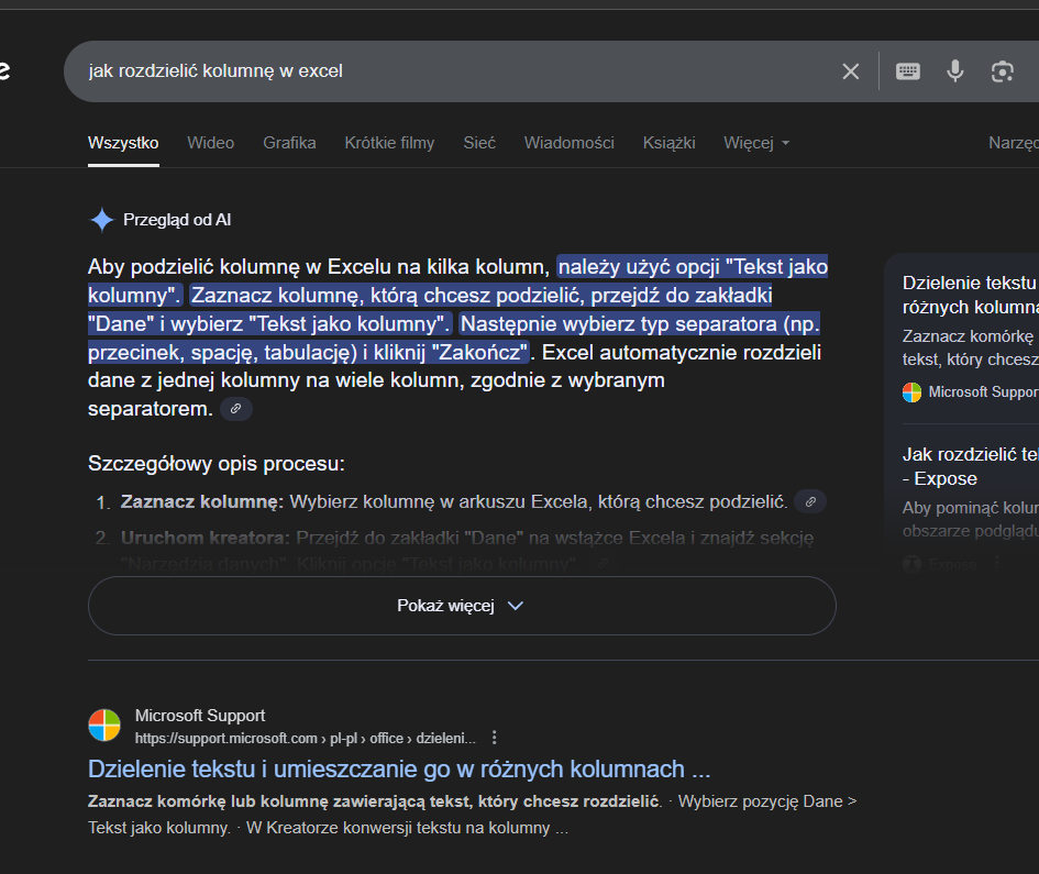 Jak zacząć Vibecoding? Sztuczna inteligencja napisze program, i bardzo pomoże arkuszach kalkulacyjnych. 4 image 85